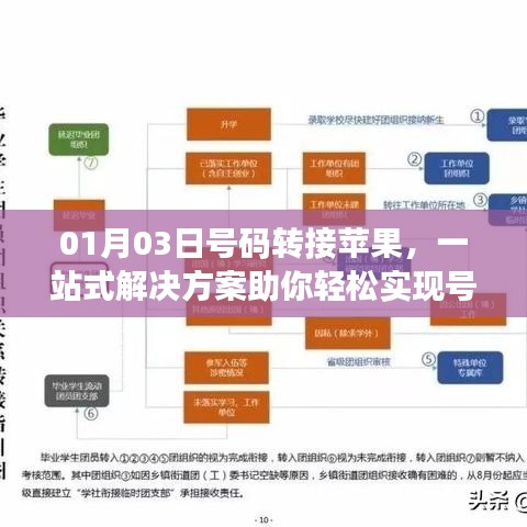 蘋(píng)果號(hào)碼轉(zhuǎn)移一站式解決方案，輕松實(shí)現(xiàn)轉(zhuǎn)接