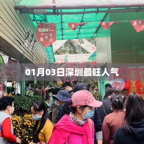 深圳人氣爆棚，最新人氣榜單揭曉