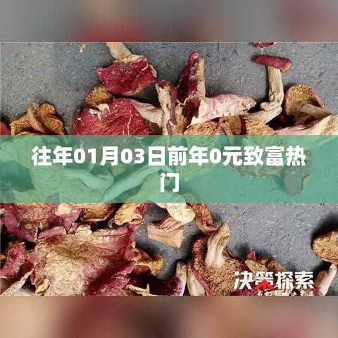 「歷年致富熱門回顧，年前零元起步熱門商機(jī)」