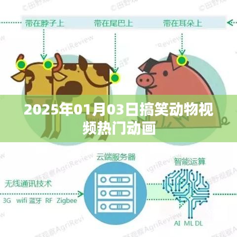 2025年搞笑動(dòng)物視頻盛宴，熱門動(dòng)畫歡樂來襲