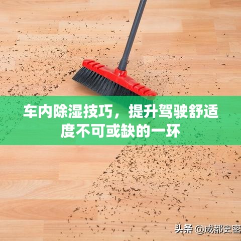 車內(nèi)除濕技巧，提升駕駛舒適度不可或缺的一環(huán)