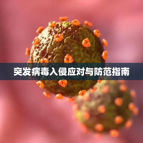 突發(fā)病毒入侵應(yīng)對(duì)與防范指南