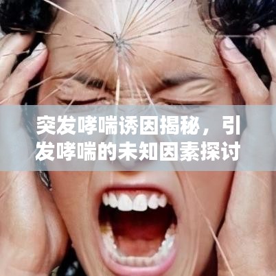 突發(fā)哮喘誘因揭秘，引發(fā)哮喘的未知因素探討