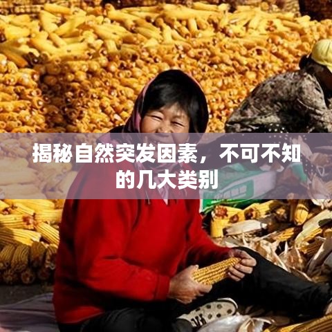 揭秘自然突發(fā)因素，不可不知的幾大類別