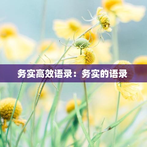 務(wù)實高效語錄：務(wù)實的語錄 