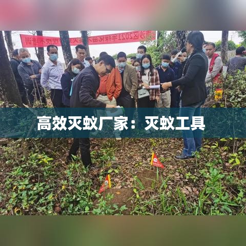 高效滅蟻廠家：滅蟻工具 