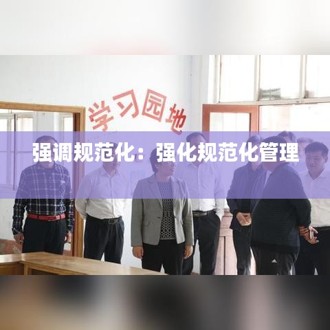 強(qiáng)調(diào)規(guī)范化：強(qiáng)化規(guī)范化管理 