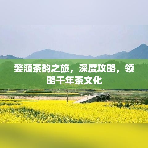 婺源茶韻之旅，深度攻略，領(lǐng)略千年茶文化