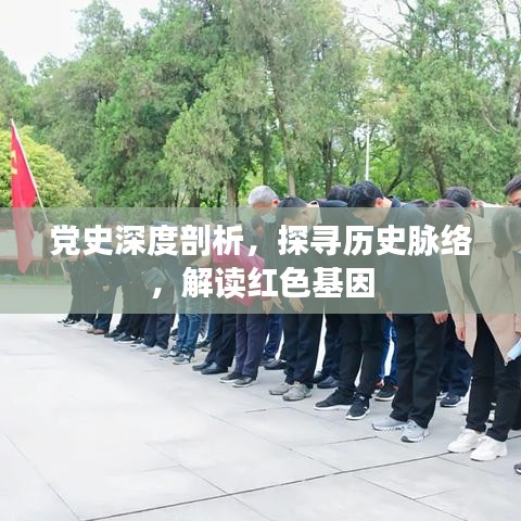 黨史深度剖析，探尋歷史脈絡，解讀紅色基因