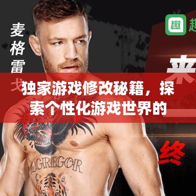 獨家游戲修改秘籍，探索個性化游戲世界的無限奧秘