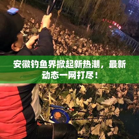 安徽釣魚界掀起新熱潮，最新動態(tài)一網(wǎng)打盡！