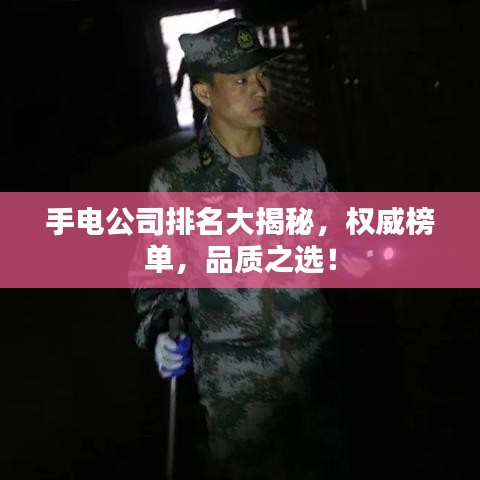 手電公司排名大揭秘，權(quán)威榜單，品質(zhì)之選！