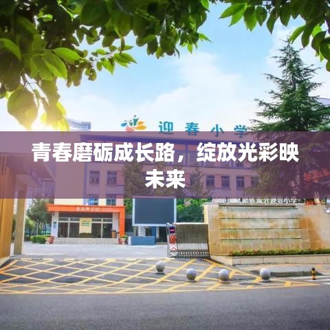 青春磨礪成長路，綻放光彩映未來
