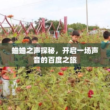 蛐蛐之聲探秘，開啟一場聲音的百度之旅