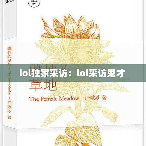 lol獨(dú)家采訪：lol采訪鬼才 