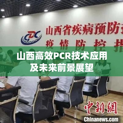 山西高效PCR技術應用及未來前景展望