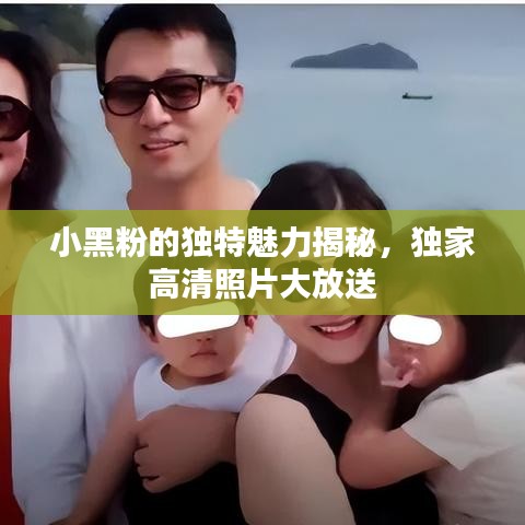 小黑粉的獨(dú)特魅力揭秘，獨(dú)家高清照片大放送