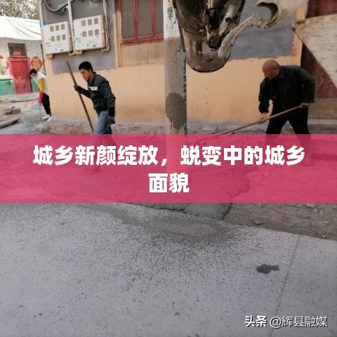 草長(zhǎng)鶯飛 第3頁(yè)