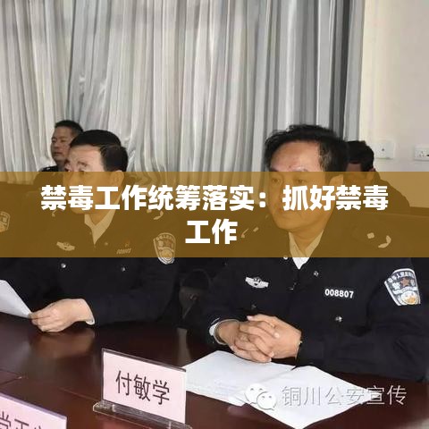 禁毒工作統(tǒng)籌落實(shí)：抓好禁毒工作 