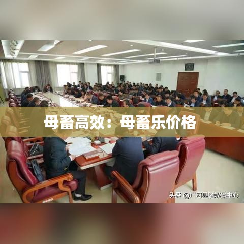 母畜高效：母畜樂價(jià)格 