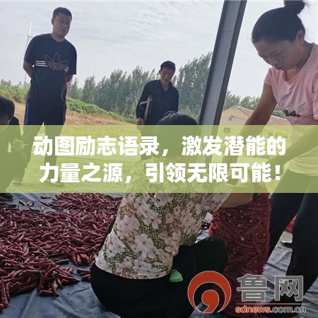 動(dòng)圖勵(lì)志語(yǔ)錄，激發(fā)潛能的力量之源，引領(lǐng)無(wú)限可能！