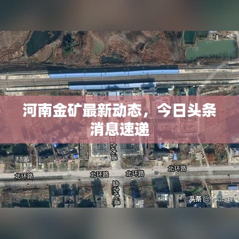 河南金礦最新動(dòng)態(tài)，今日頭條消息速遞