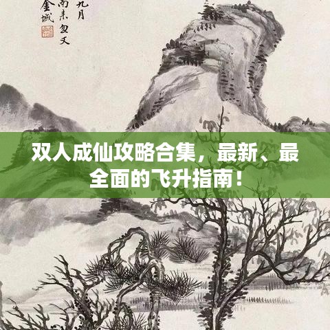 雙人成仙攻略合集，最新、最全面的飛升指南！
