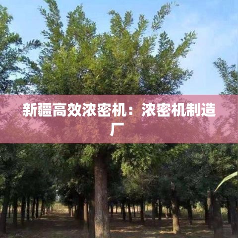 新疆高效濃密機(jī)：濃密機(jī)制造廠 