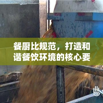 餐廚比規(guī)范，打造和諧餐飲環(huán)境的核心要素