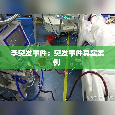 李突發(fā)事件：突發(fā)事件真實(shí)案例 