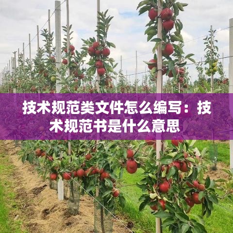 技術(shù)規(guī)范類文件怎么編寫：技術(shù)規(guī)范書是什么意思 