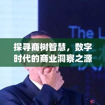 探尋商樹智慧，數(shù)字時代的商業(yè)洞察之源