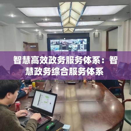 智慧高效政務服務體系：智慧政務綜合服務體系 