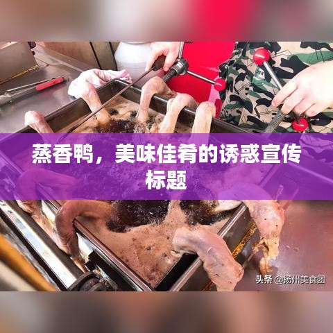 蒸香鴨，美味佳肴的誘惑宣傳標(biāo)題