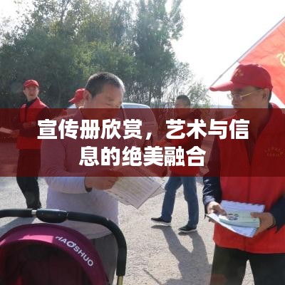 宣傳冊欣賞，藝術與信息的絕美融合