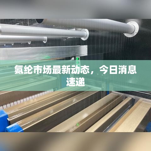 氨綸市場最新動態(tài)，今日消息速遞