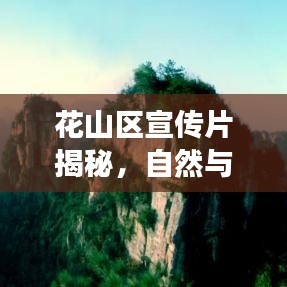 花山區(qū)宣傳片揭秘，自然與人文的絕美交融