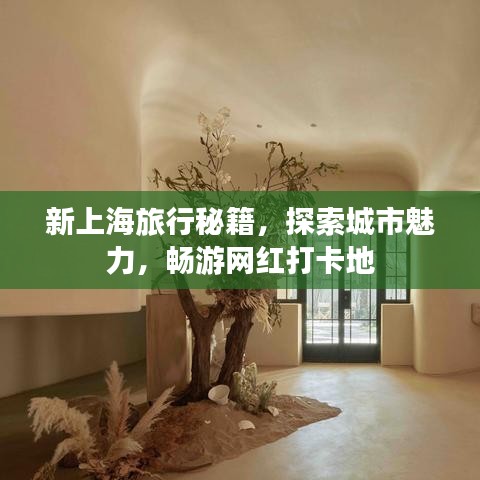 新上海旅行秘籍，探索城市魅力，暢游網(wǎng)紅打卡地