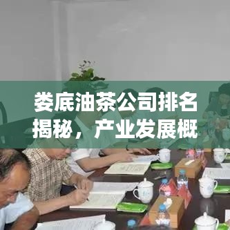 婁底油茶公司排名揭秘，產(chǎn)業(yè)發(fā)展概覽