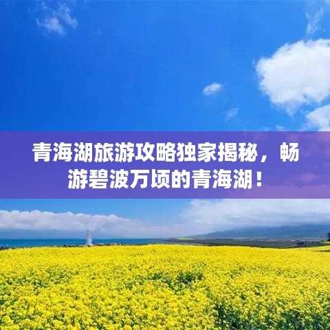 青海湖旅游攻略獨家揭秘，暢游碧波萬頃的青海湖！