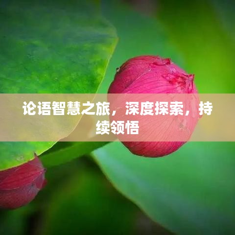 論語智慧之旅，深度探索，持續(xù)領(lǐng)悟