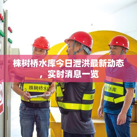 株樹(shù)橋水庫(kù)今日泄洪最新動(dòng)態(tài)，實(shí)時(shí)消息一覽