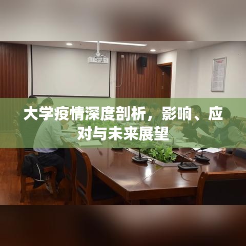 大學(xué)疫情深度剖析，影響、應(yīng)對(duì)與未來展望