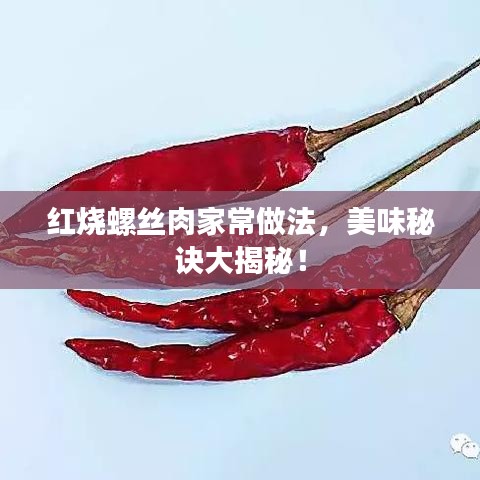 紅燒螺絲肉家常做法，美味秘訣大揭秘！