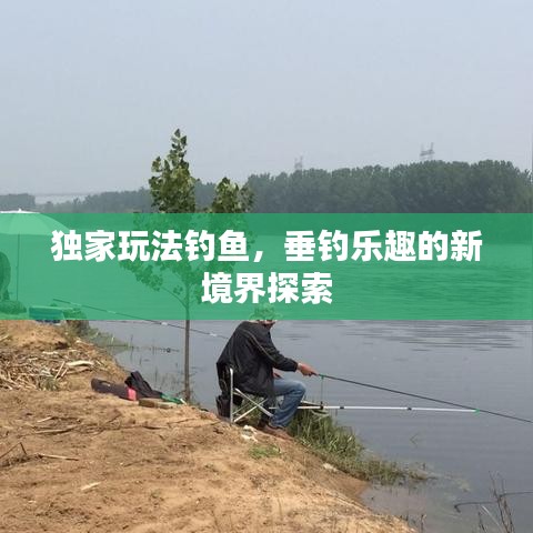 獨(dú)家玩法釣魚，垂釣樂趣的新境界探索