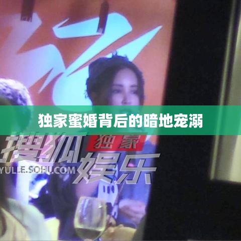 衣無(wú)二彩 第3頁(yè)