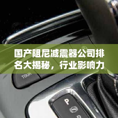 國產(chǎn)阻尼減震器公司排名大揭秘，行業(yè)影響力不容小覷！