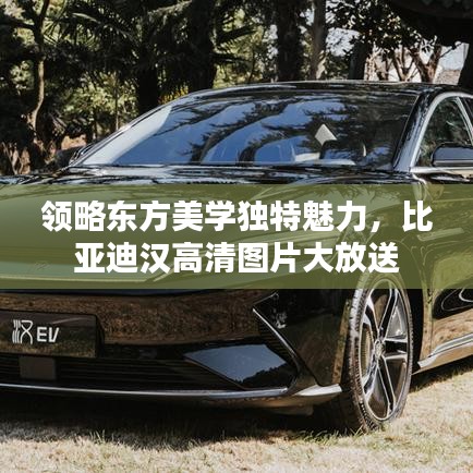 領(lǐng)略東方美學(xué)獨特魅力，比亞迪漢高清圖片大放送