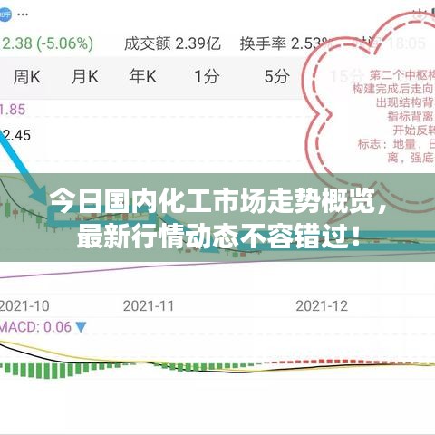 今日國內(nèi)化工市場走勢概覽，最新行情動態(tài)不容錯過！