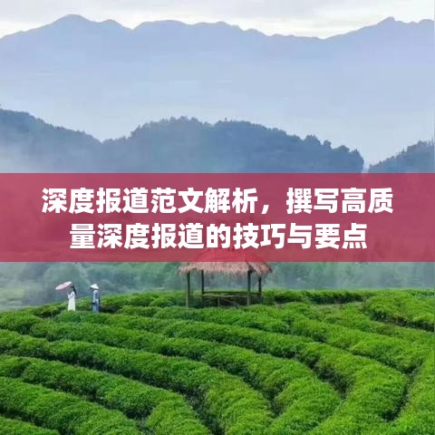 深度報(bào)道范文解析，撰寫高質(zhì)量深度報(bào)道的技巧與要點(diǎn)